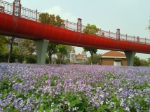 �����������ɴ��Ӱ����